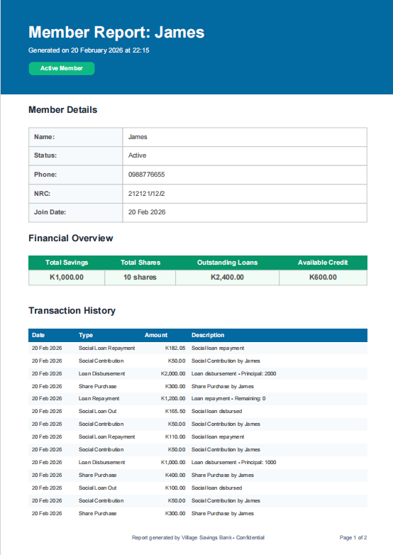 Generated PDF member report with financial overview and transaction history